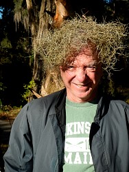 WB0TKLGordonsFloridaHairdo.jpg